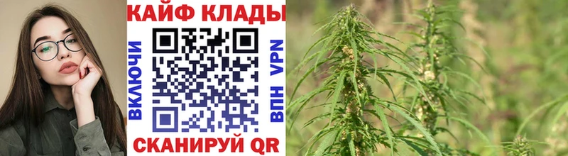 Где найти наркотики Арск Канабис  МЕФ  Alpha-PVP  ГАШИШ 