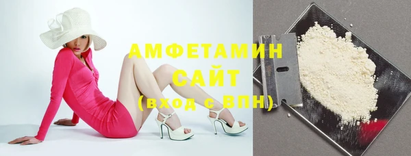 твердый Алексин