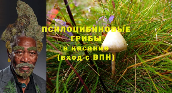 крисы Алексеевка