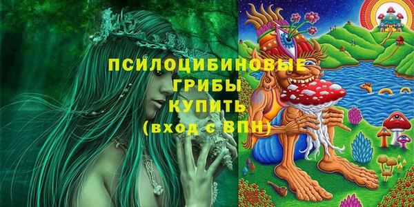PSILOCYBIN Алзамай