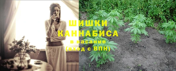 PSILOCYBIN Алзамай