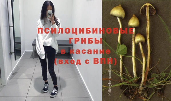 PSILOCYBIN Алзамай